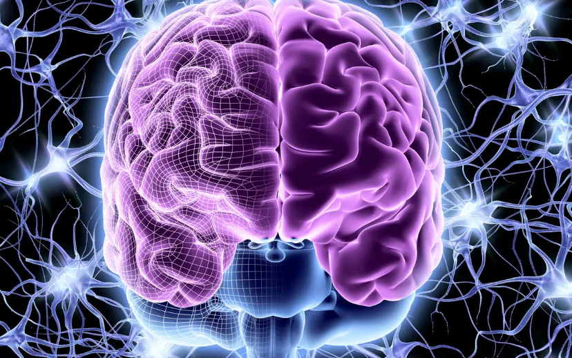 ontwerp zonder titel 1