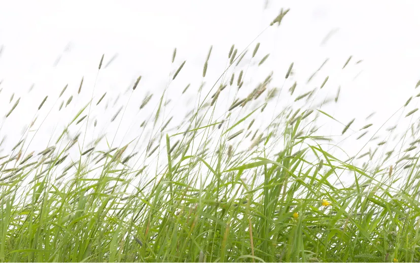 ontwerp zonder titel 16