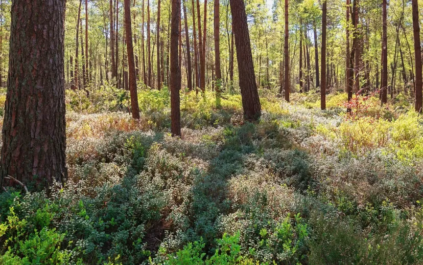 ontwerp zonder titel 2