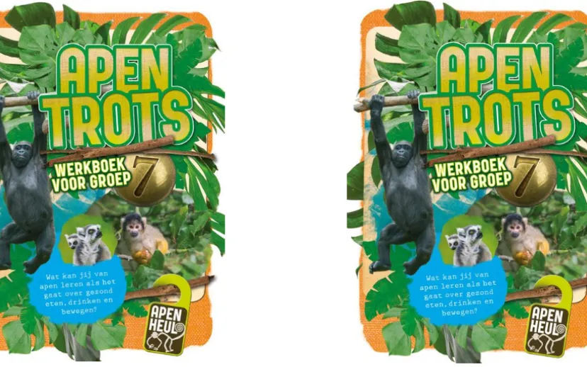 Ontwerp zonder titel (25)