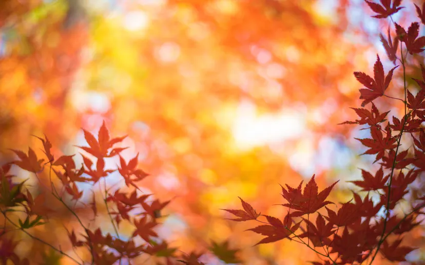 Ontwerp zonder titel (48)