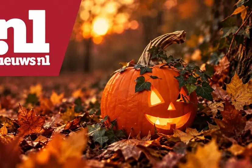 Nieuws.nl herfstige jack-o’-lantern