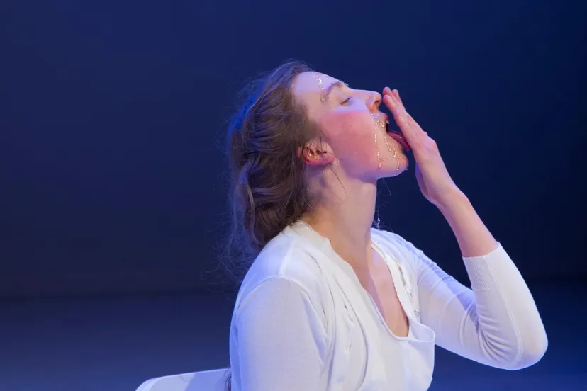 05 that disgusting thing called intimacy menno van der meulen