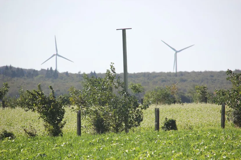 agroindustryimg 7784