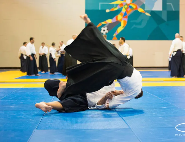 aikidofestijn 2019 17776