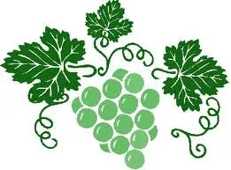 aiw2wfvgqcbdeweg2gs9yi1hd 177496