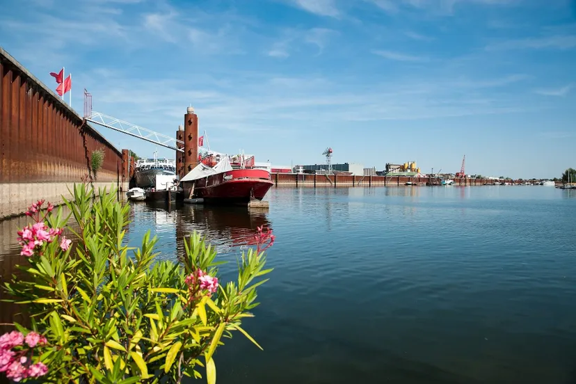 arnhemse havengem arnhem 12