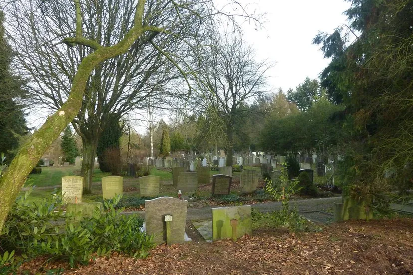 b6p747625a05e2y5qiyib7ic5 moscowaarnhem 2