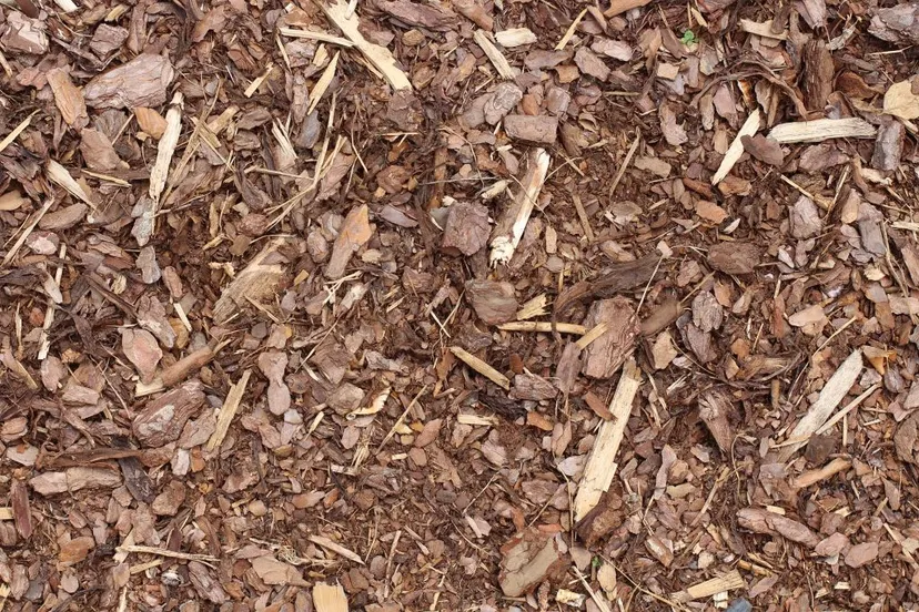 beukenlaanbark mulch g794d30865 1920