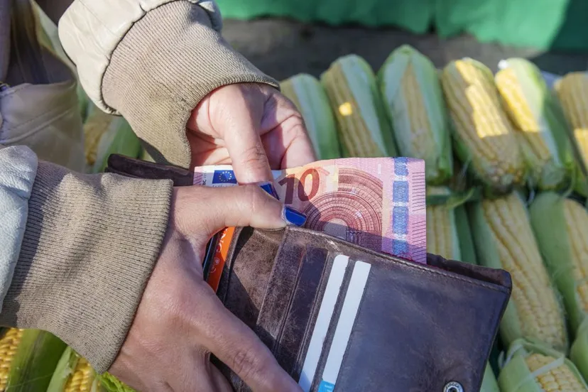 bijverdienbelonginggemeentearnhem