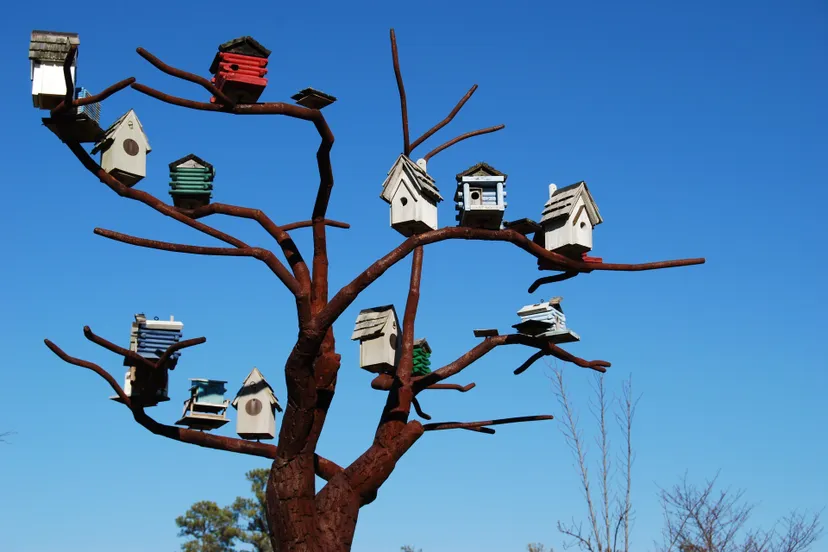 bird houses 1046146 1920