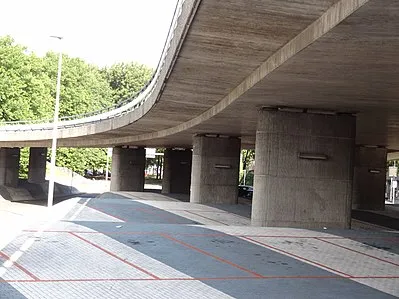 blauwegolvenpeter struikenwikipediaarnhem roermondsplein