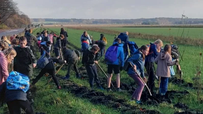 boomfeestdag natuurcentrum arnhem