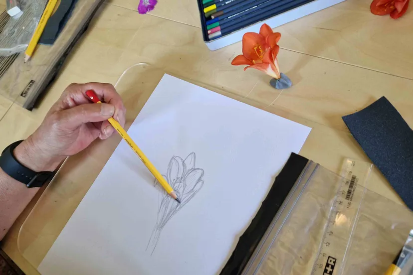 botanisch tekenenkrijnen 20230521 143203