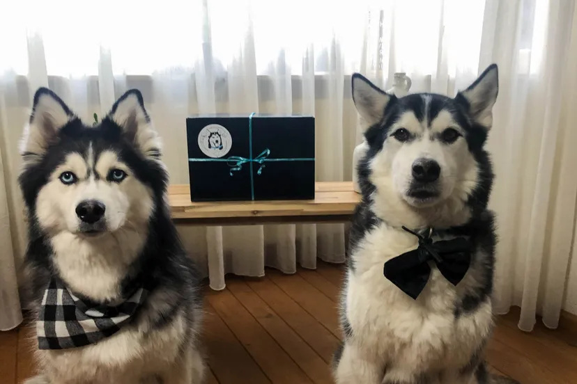 box support your locals2