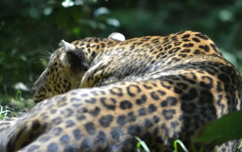 bp14n3wmgpthqz3w6e4mlx5vz burgerszooarnhemnieuwssvenhans20140711 5