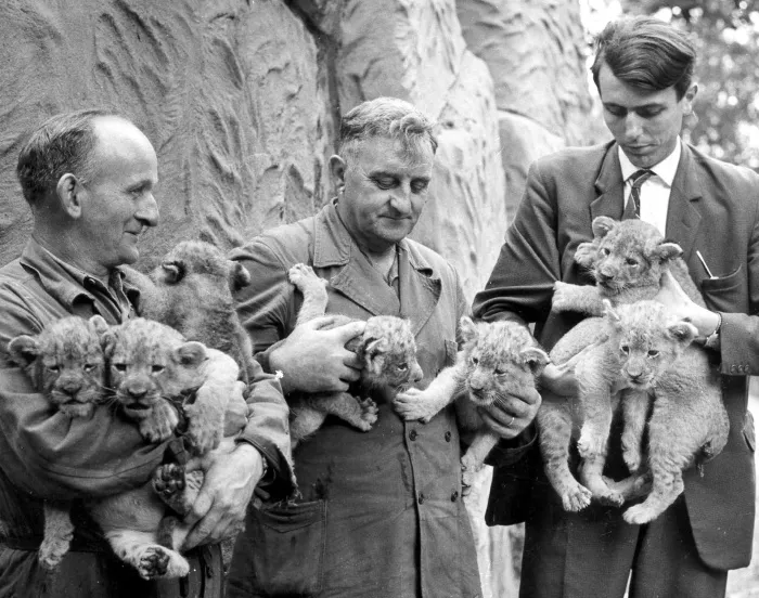 bqdt7s15pz6duvovscztdw0z6 174126