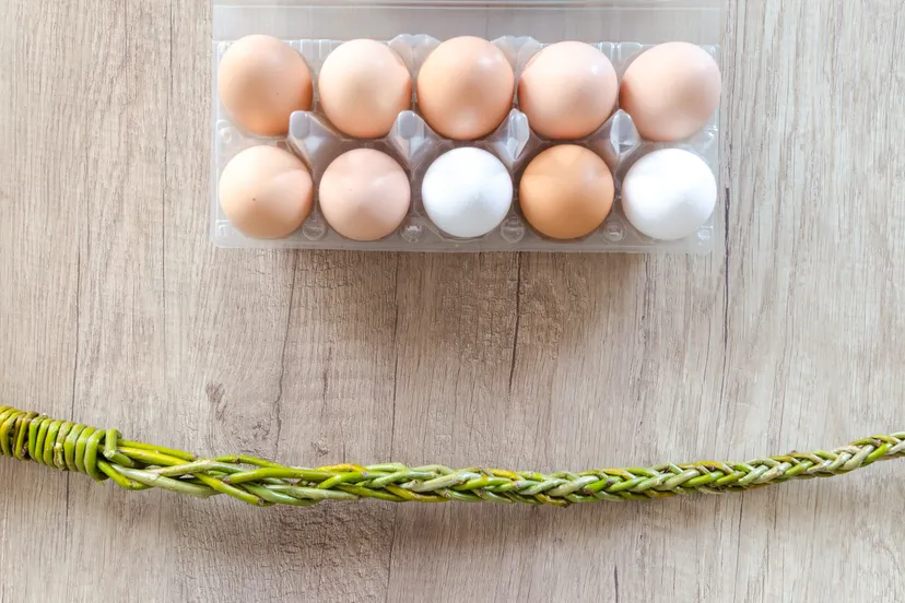 branches eggs handle 518538