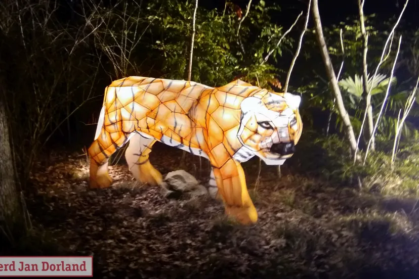 burgers light 2019 17