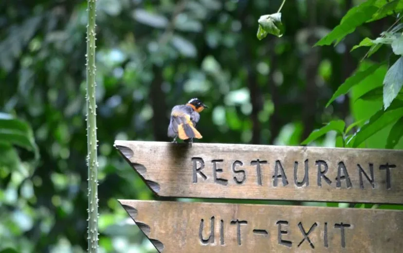 burgers zoo arnhem nieuws sven hans 20140711 7