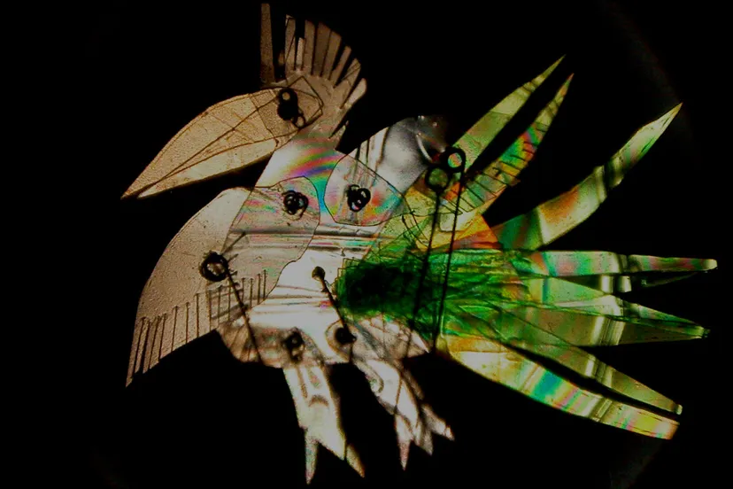 bzoads7qjwtnz9cw4sk74d3iw poefff