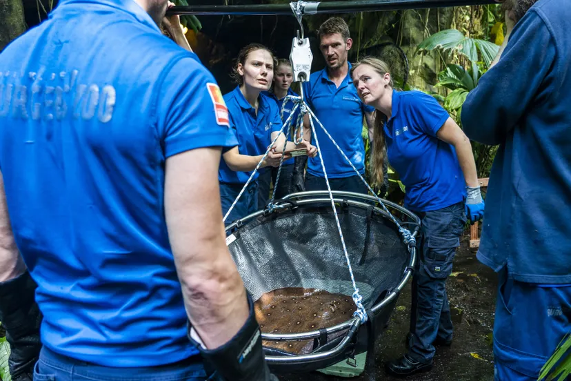 bzroggen wegen en meten 3