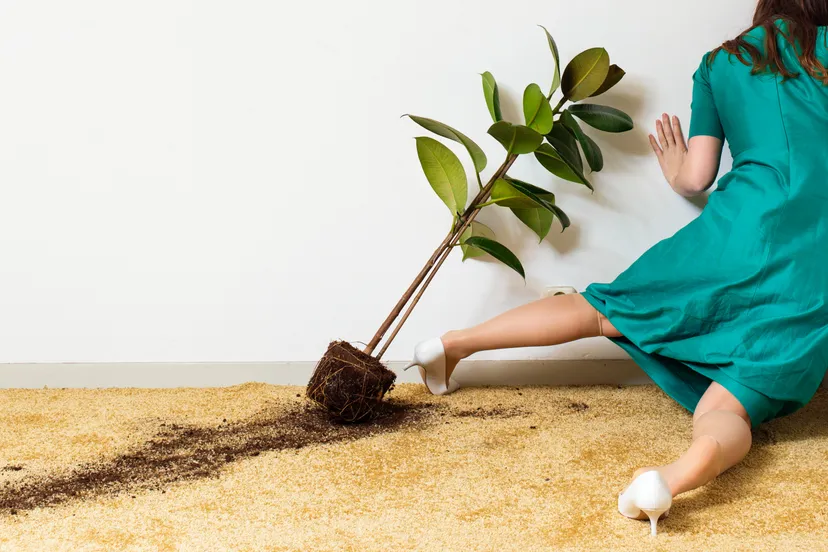 continenten uitsnede liggend victor wennekes