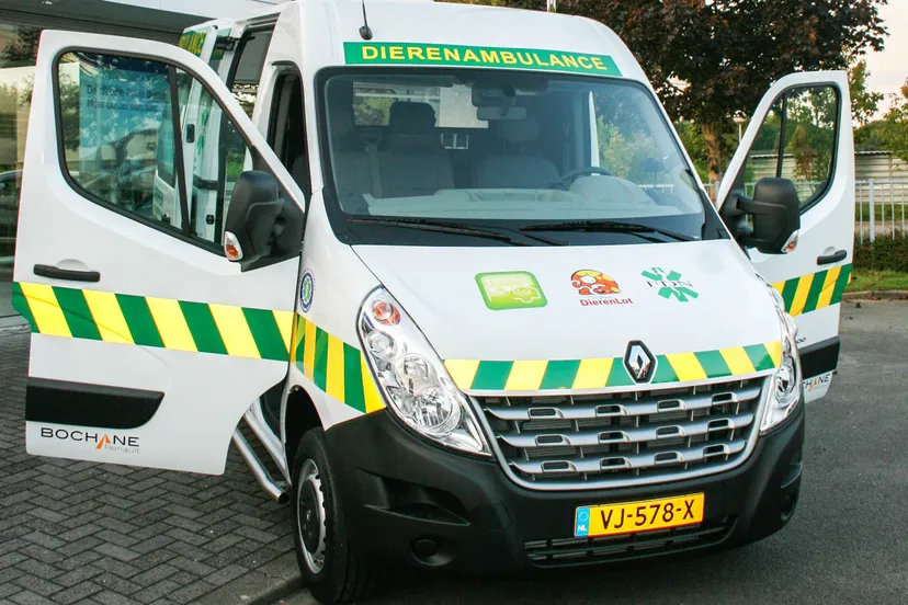 cpxfqjeap8rojxk07srcewmxv dierentehuisarnhemeo 2