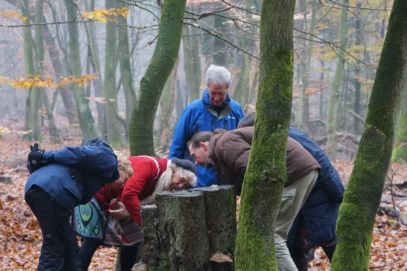 cursus natuurgids ivn2 ivn oost veluwezoom en ivn arnhem1