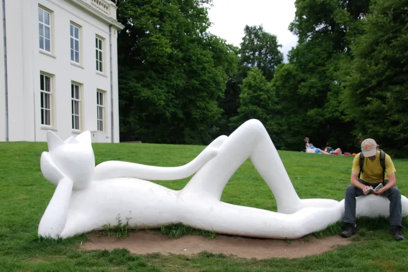 cz7wjy54nmoaf4dd2jbc4jope lazy king sonsbeek arnhem nieuws