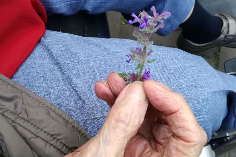 dagin teken van dementieimg 20190611 185819