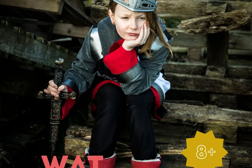 de plaats website poster2 2