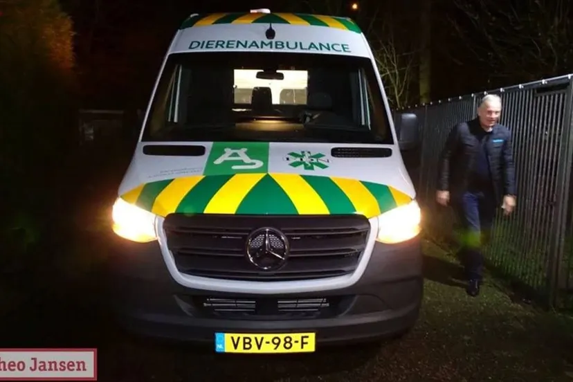 dierenambulance