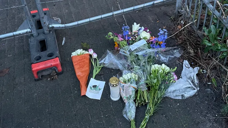 dodendewiltstraatdownload