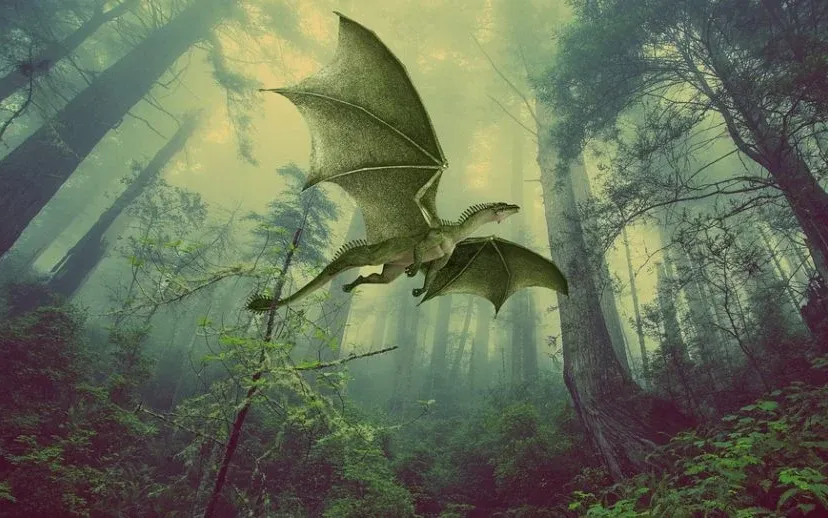 draak artie navarre 915x518