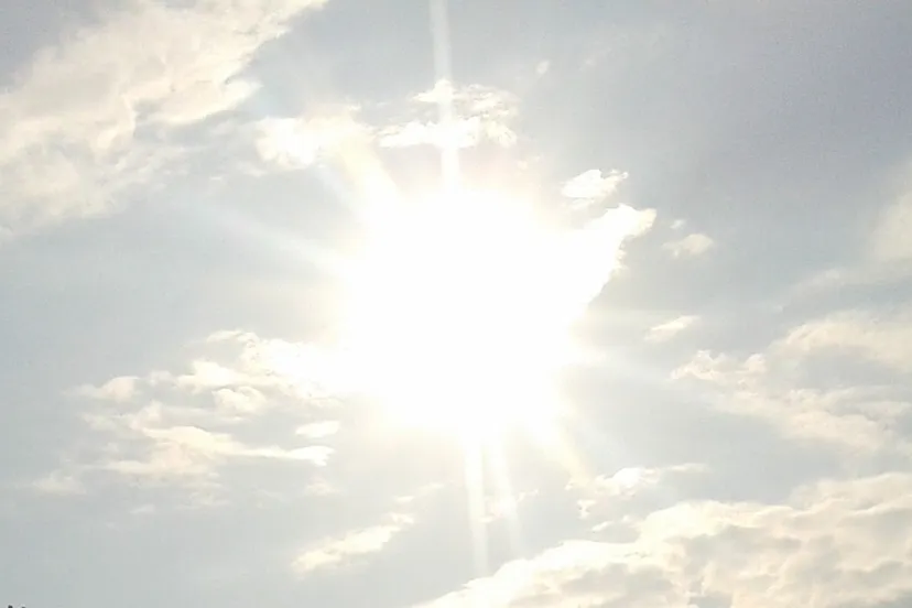 drb0zksft1rwoz2l9pvoea9w7 zonarnhemnieuws