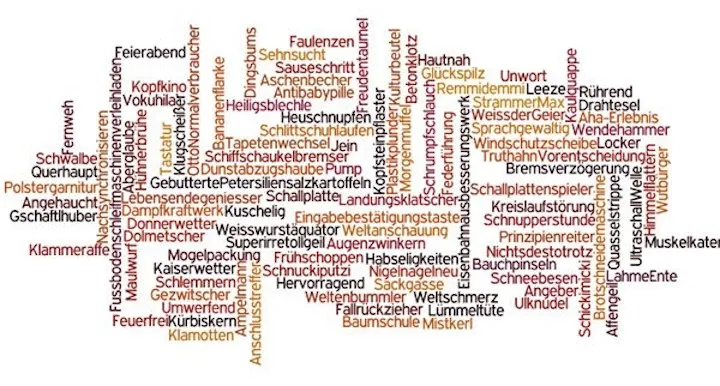 dvdd taal woordwolk 2