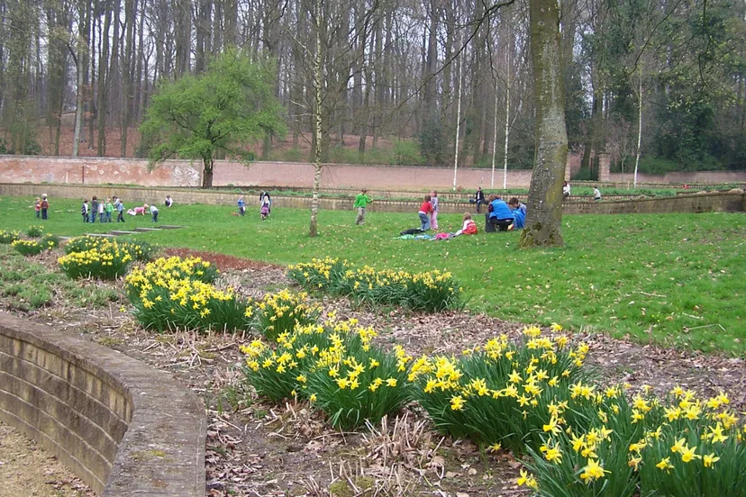 dzpdaop65jttj37gko43hfyci lentewandelingarnhem