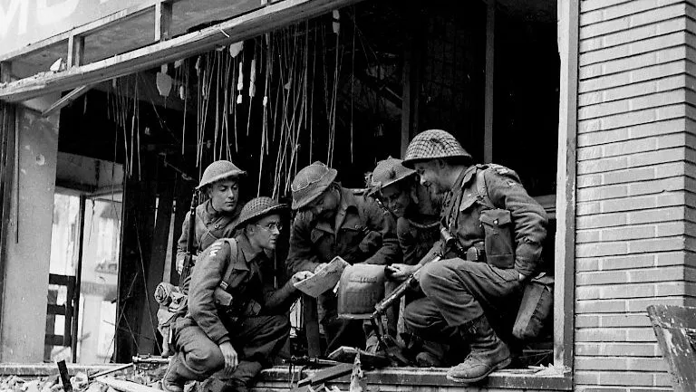 ek7u3lg5xm7r2su1xmrw13opg polar bears