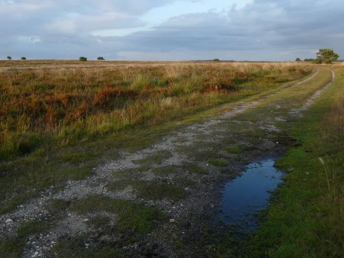 ew5vsza3py9sfzf5kqlqndokx 196088