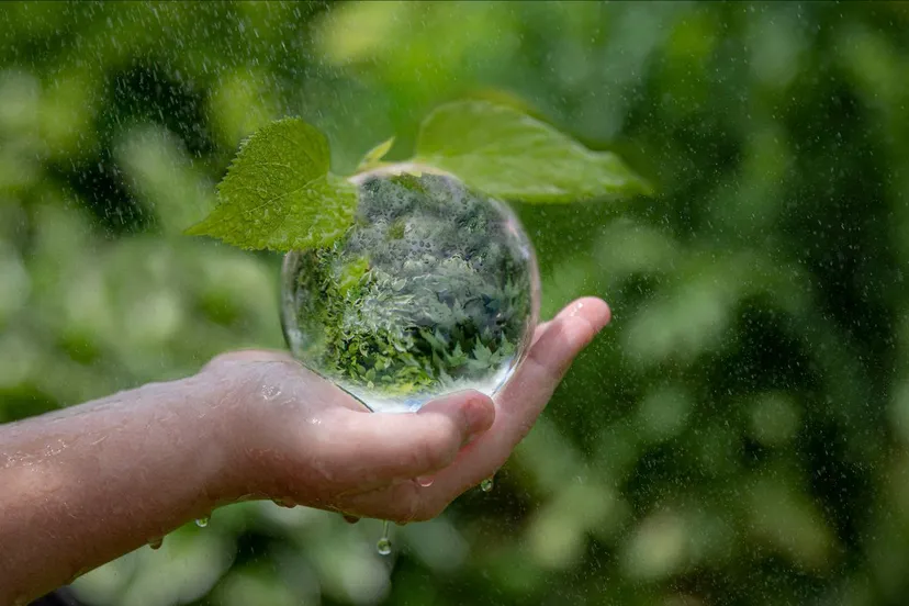 expositieresie robbers