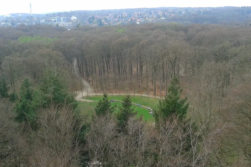 f31d2uohmomwqiwoc515q84f7 arnhemrondeweidearnhemnieuws 2