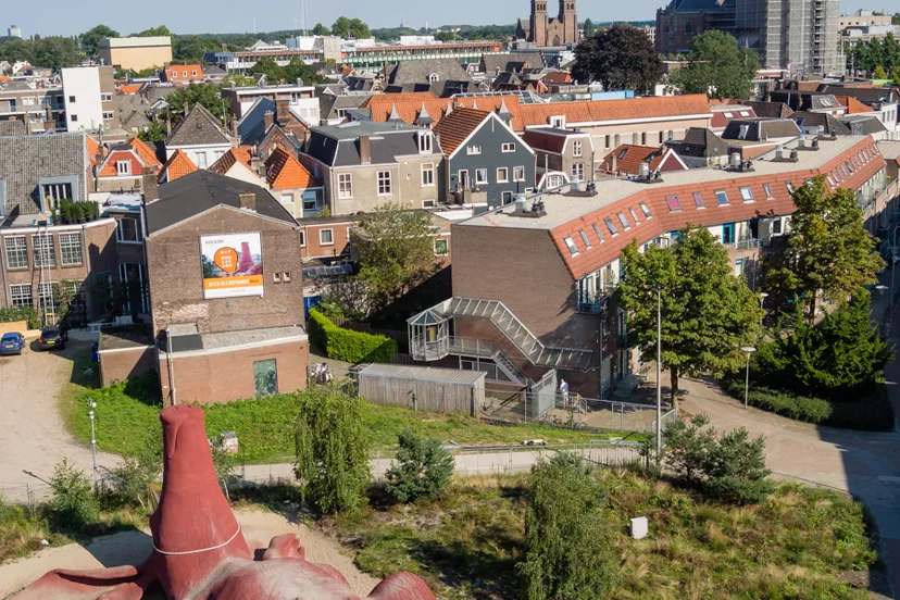 feestardvarkenbernard bodt