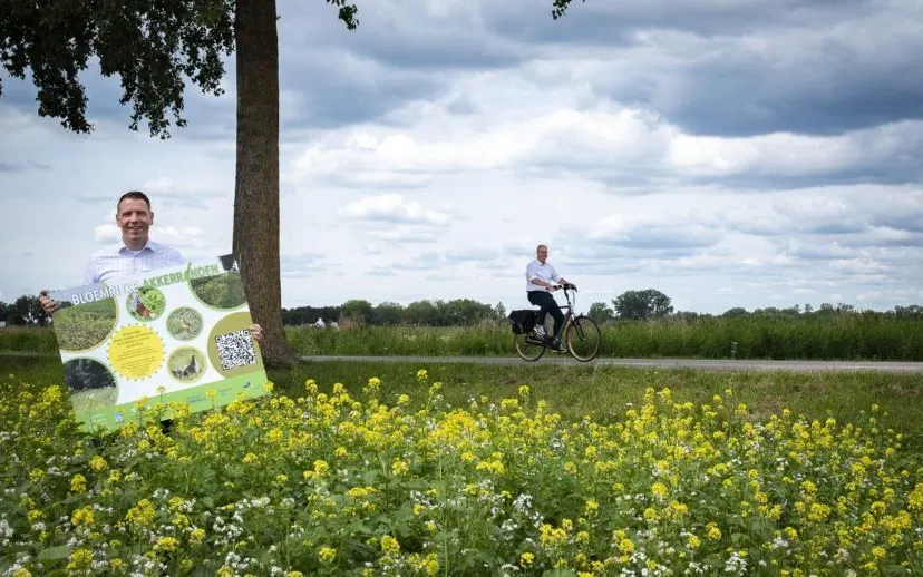 fietsroute bloemrijke akkerranden 915x518