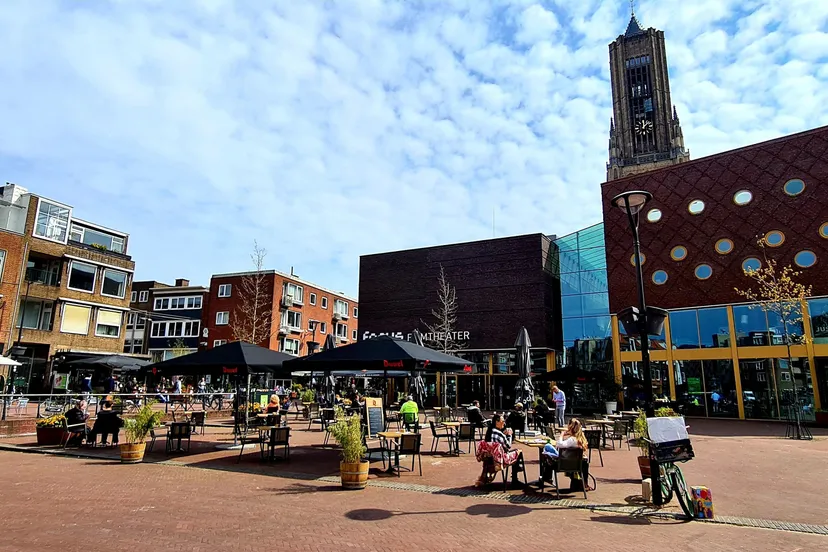 focus terras april 2021 charlie cappetti