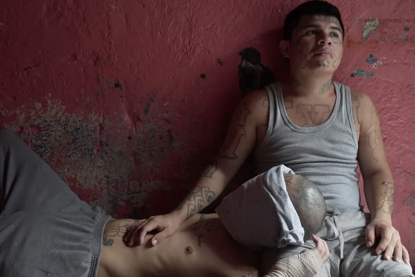 focusthe best of idfa on tour 2020 2021 st 1 jpg sd low unforgivable