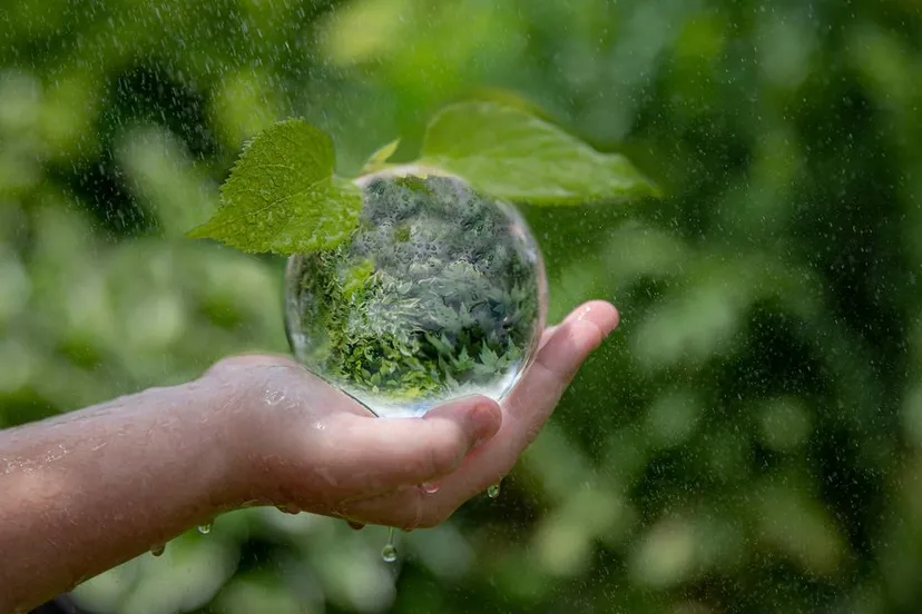 fotoclubmeinerswijk206456406 5944619982245179 6847827172210217793 n