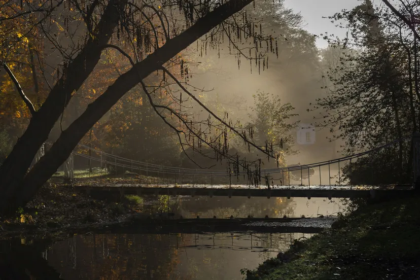 fotolisettevanstraaten