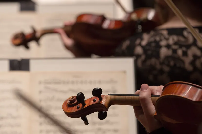 frank lodder beeld 14