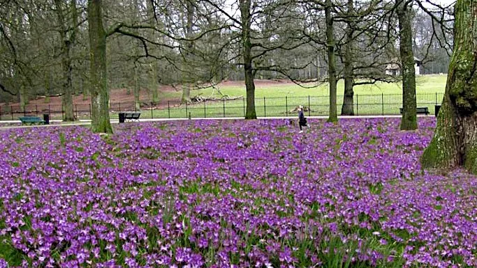 g346zvtwz7cjbe0qvygvi1g1v hertenkamp sonsbeek arnhemfoto linda wolsing